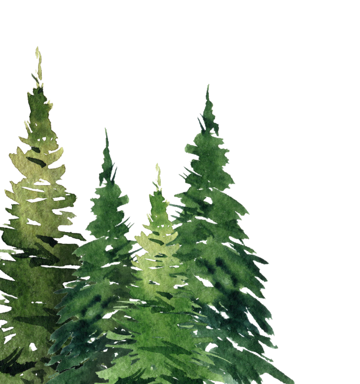 Decorative Trees