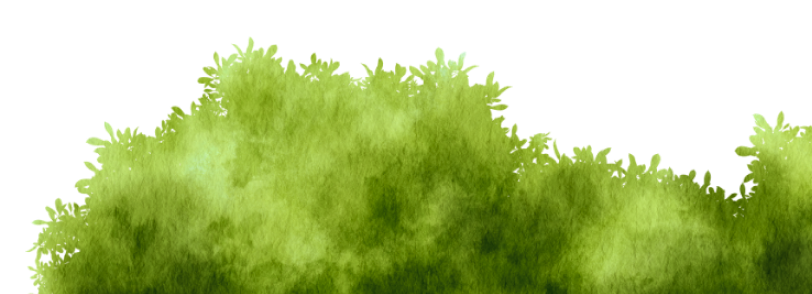 Decorative Bush