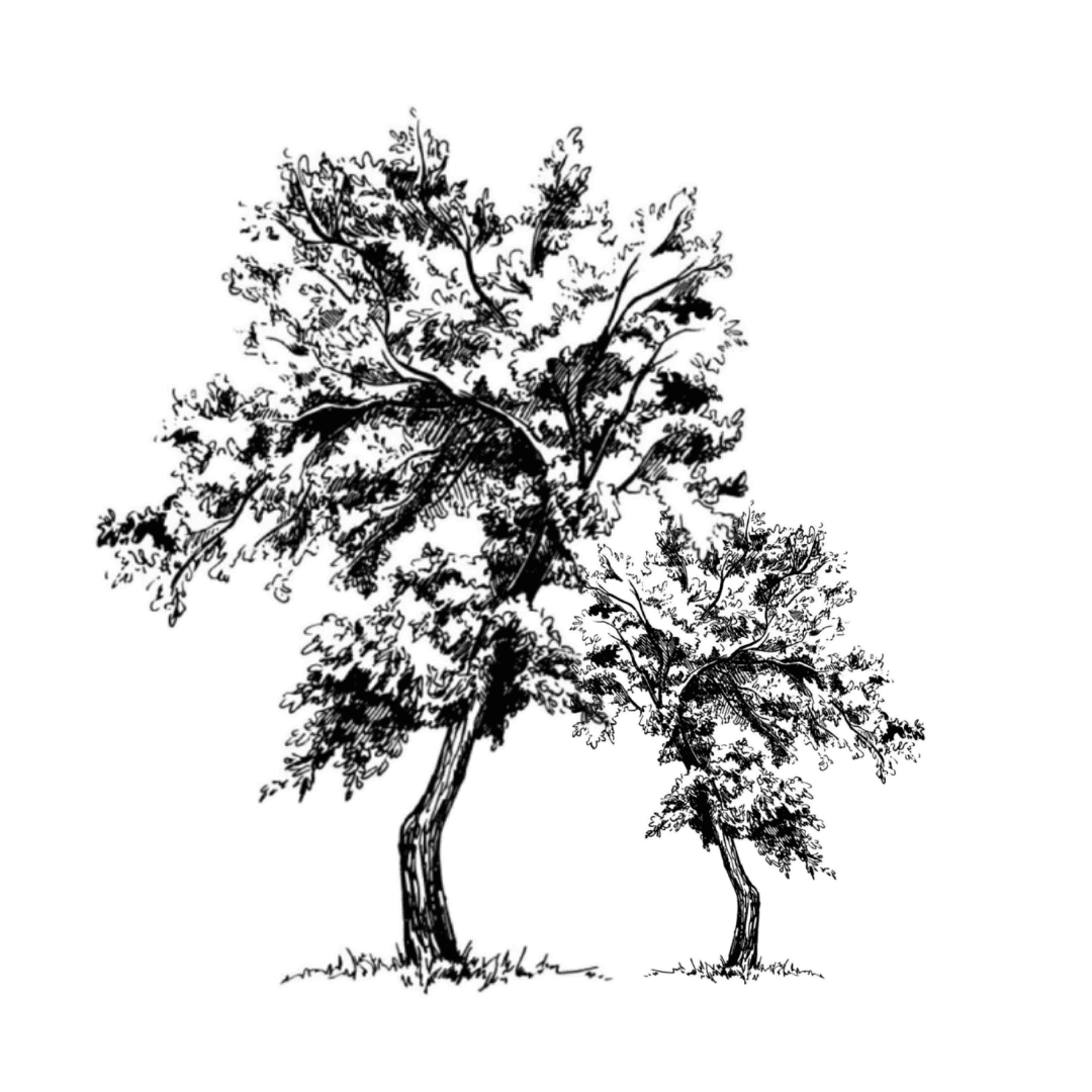 Mobile Background