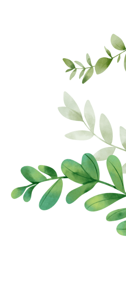 top right leaves