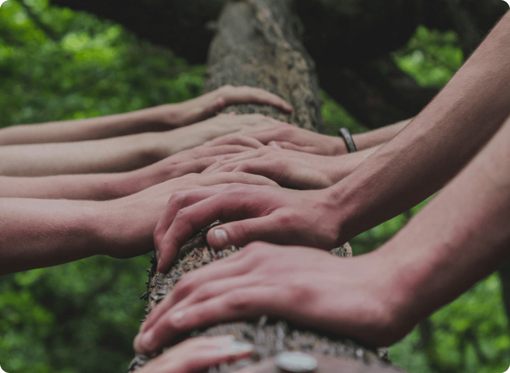 hands on tree